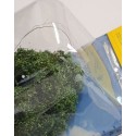 Micro motion tree with swing. | Broken blister