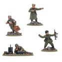 Grupo de veteranos alemanes.