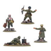 Grupo de veteranos alemanes.