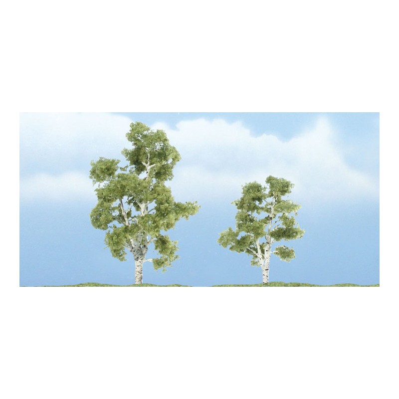 Sicomoro. WOODLAND TR1603