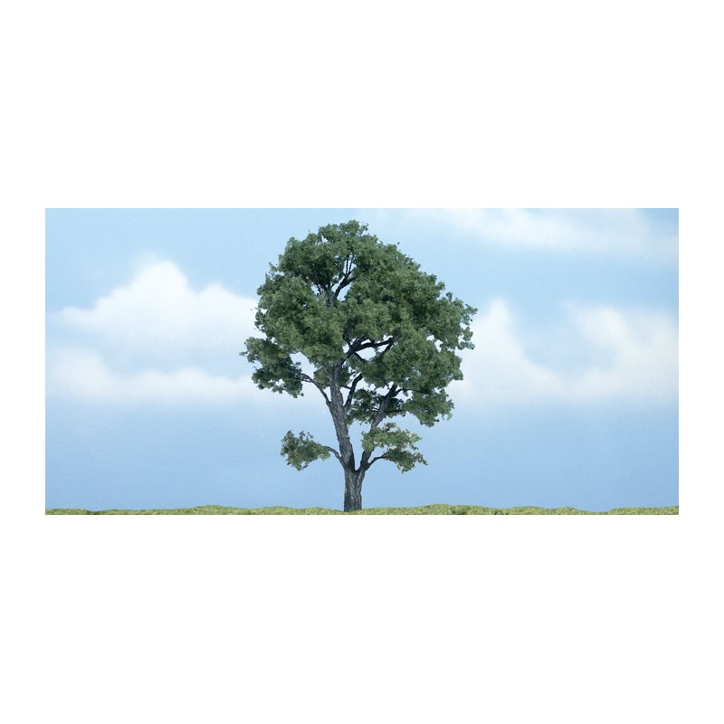 Arce. WOODLAND TR1610