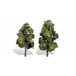 2 alberi, estate.