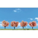 Flowering tree. WOODLAND TR3593
