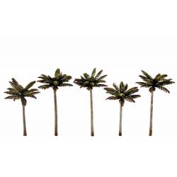 Palm trees.
