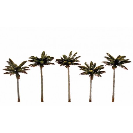 Palm trees. WOODLAND TR3597