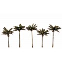 Palmeras. WOODLAND TR3597
