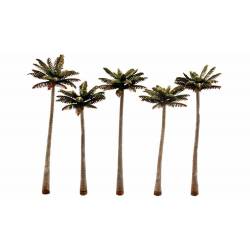 Palmeras.