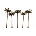 Palmeras. WOODLAND TR3598