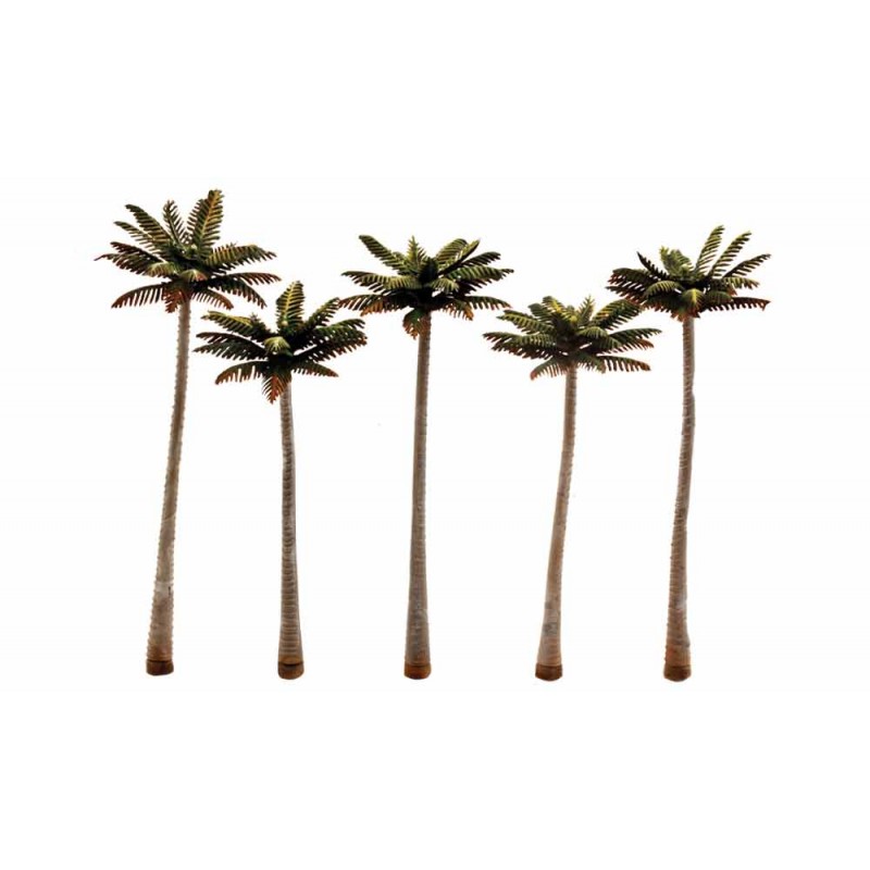 Palm trees. WOODLAND TR3598 Palm trees. WOODLAND TR3598