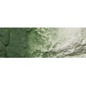 Green undercoat. WOODLAND C1228