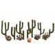 Cactus plants. WOODLAND TR3600