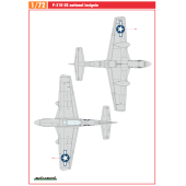 P-51D US national insignia.