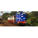 Diesel locomotive 1455, CP.