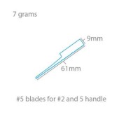 Lâmina da lâmina nº 15 (x5).