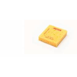 Sponge. JBC S6169