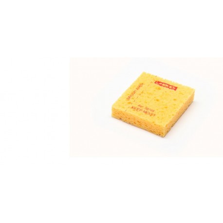 Sponge. JBC S6169