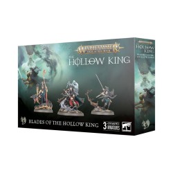 Blades of the Hollow King.