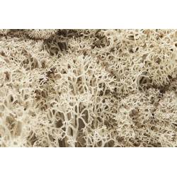 Lichene, naturale.