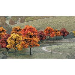 14 alberi misti, autunno.