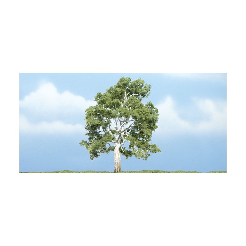 Sicomoro. WOODLAND TR1609