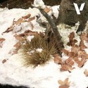 Struttura del terreno, neve.