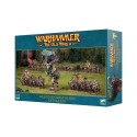 Batalhão Beastman Pack.