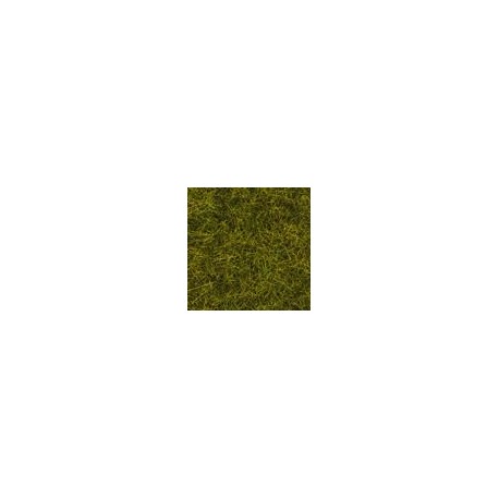 Alfombra de césped electrostático, verde pradera. NOCH 00402