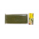 Meadow Mat Spring, NOCH 00410
