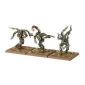 Regni degli Elfi Silvani: Famiglia degli Alberi.