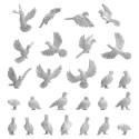 Pigeons.