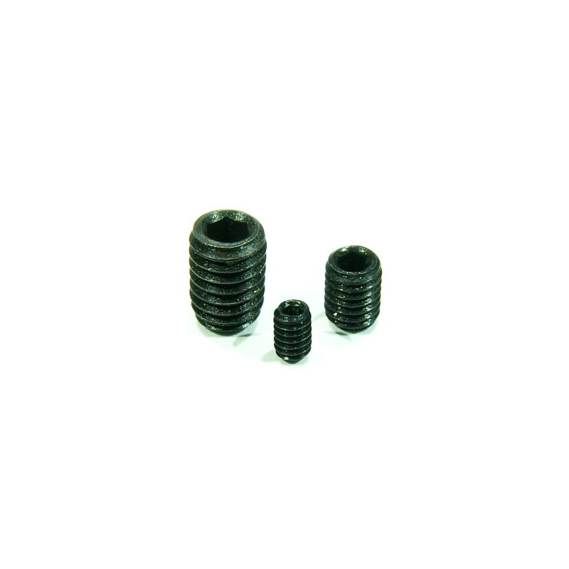 Tornillo Allen sin cabeza, M2,5 (x20). RB 029-253