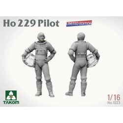 Piloto Ho 229.